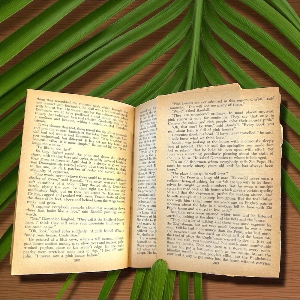 VINTAGE 1950s My Brother’s Keeper by Marcia Davenport – Cardinal Edition C-224